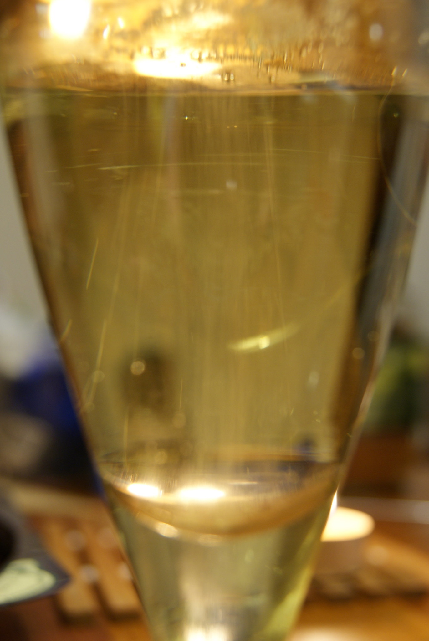 Crémant de Bourgogne Blanc Blanc de blancs Demi-sec - Vin Blanc - Photo de Sergey Rodovnichenko - 101Pairing.com