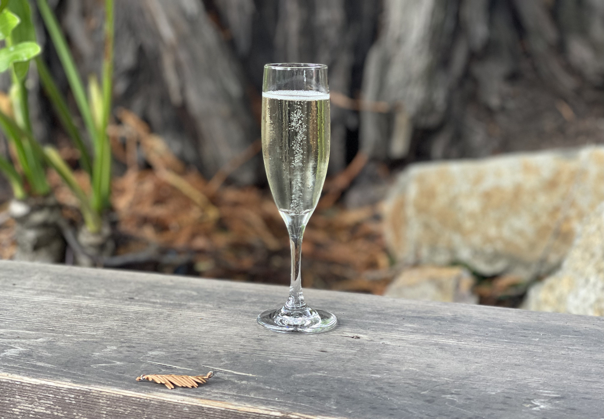 Saint-Péray Blanc     Mousseux  Blanc de blancs Brut - Vin Blanc - Photo de Sarah Stierch - 101Pairing.com