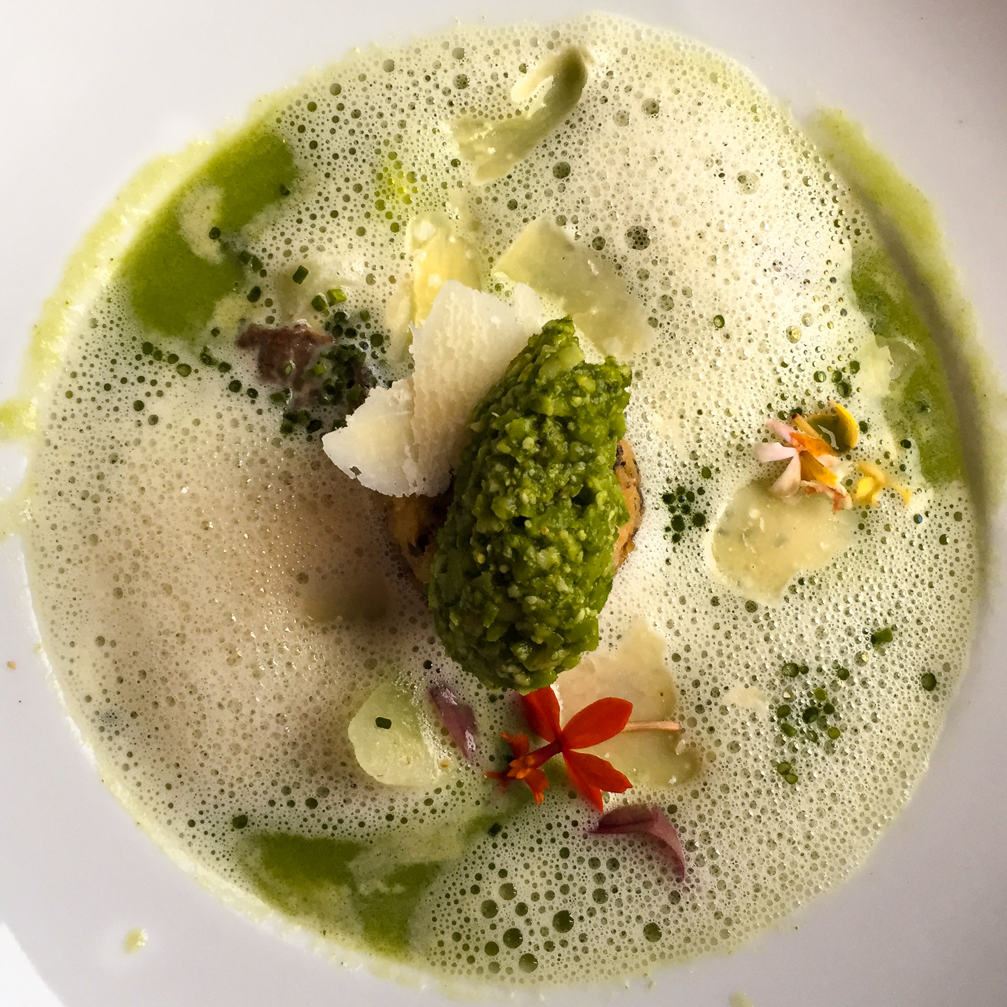 Crème d’asperges aux morilles - Photo de Dale Cruse - 101Pairing.com