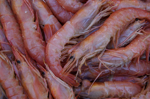 Avocat farci aux crevettes - Photo de Matias Garabedian - 101Pairing.com