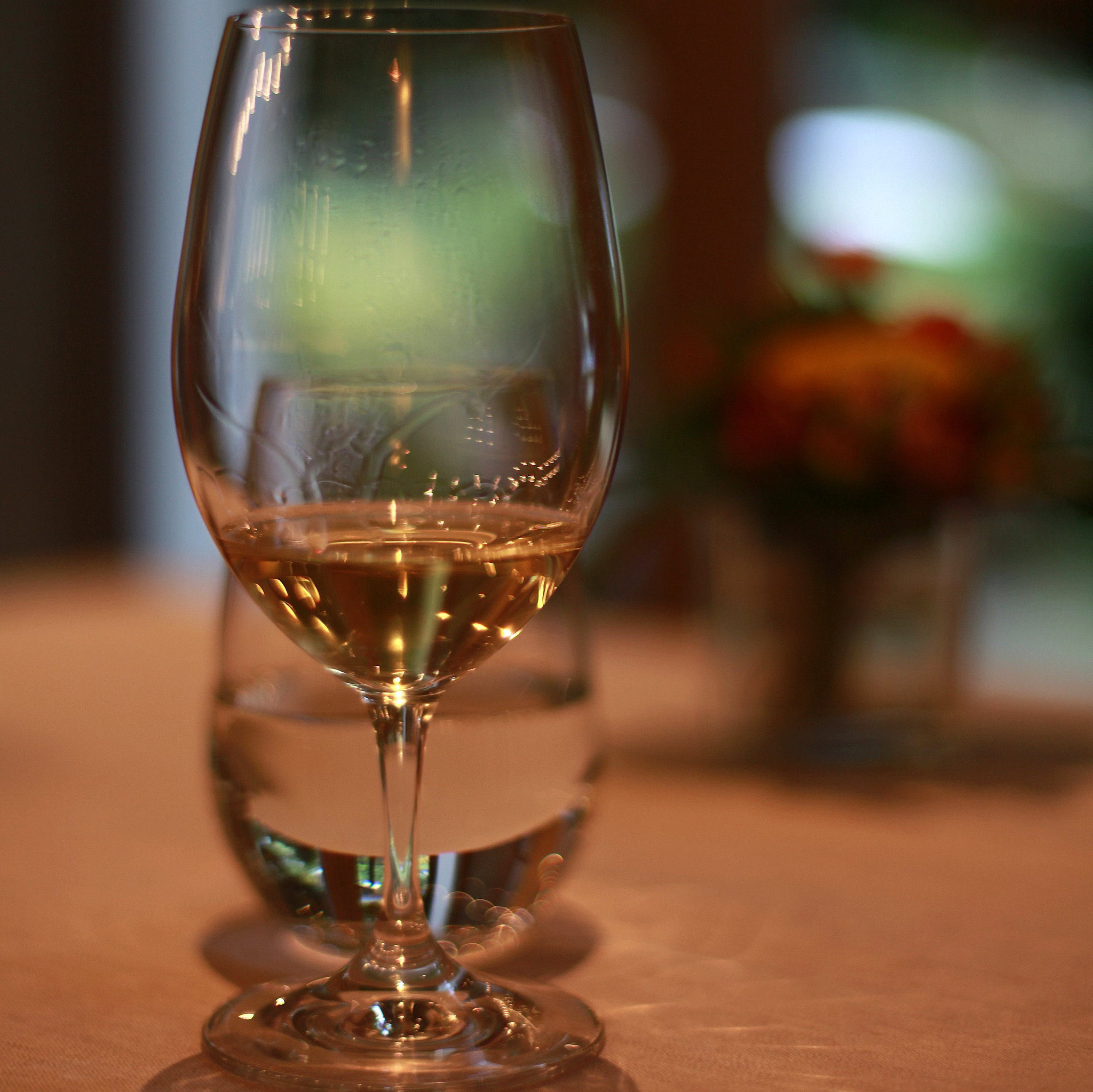 Crozes-Hermitage Blanc - Vin Blanc - Photo de jenny downing - 101Pairing.com