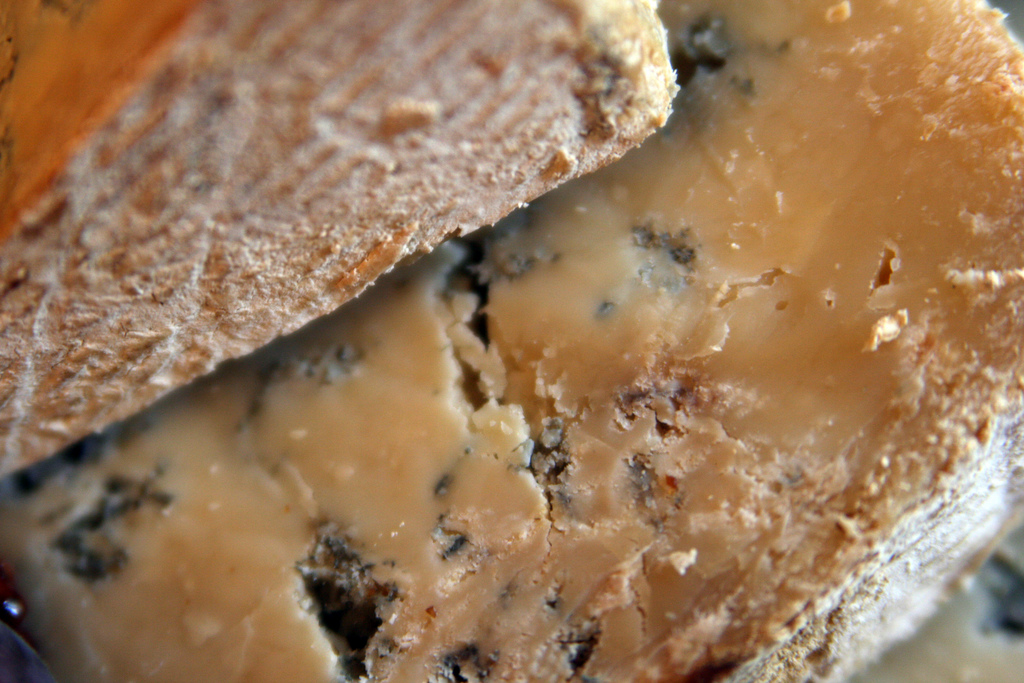 Fromage à pâte persillée - Photo de Quinn Dombrowski - 101Pairing.com