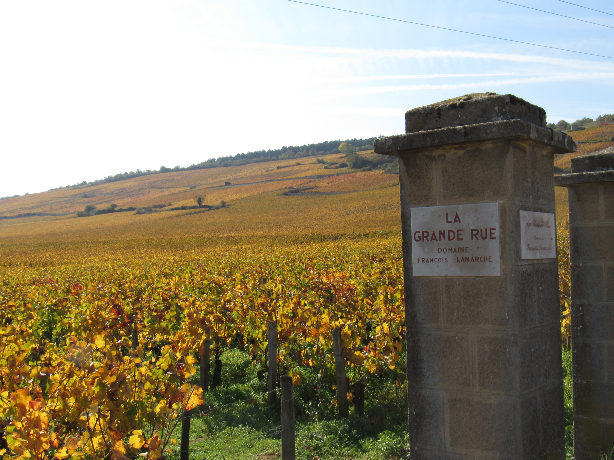 La Grande Rue Rouge - Vin Rouge - Photo de  - 101Pairing.com