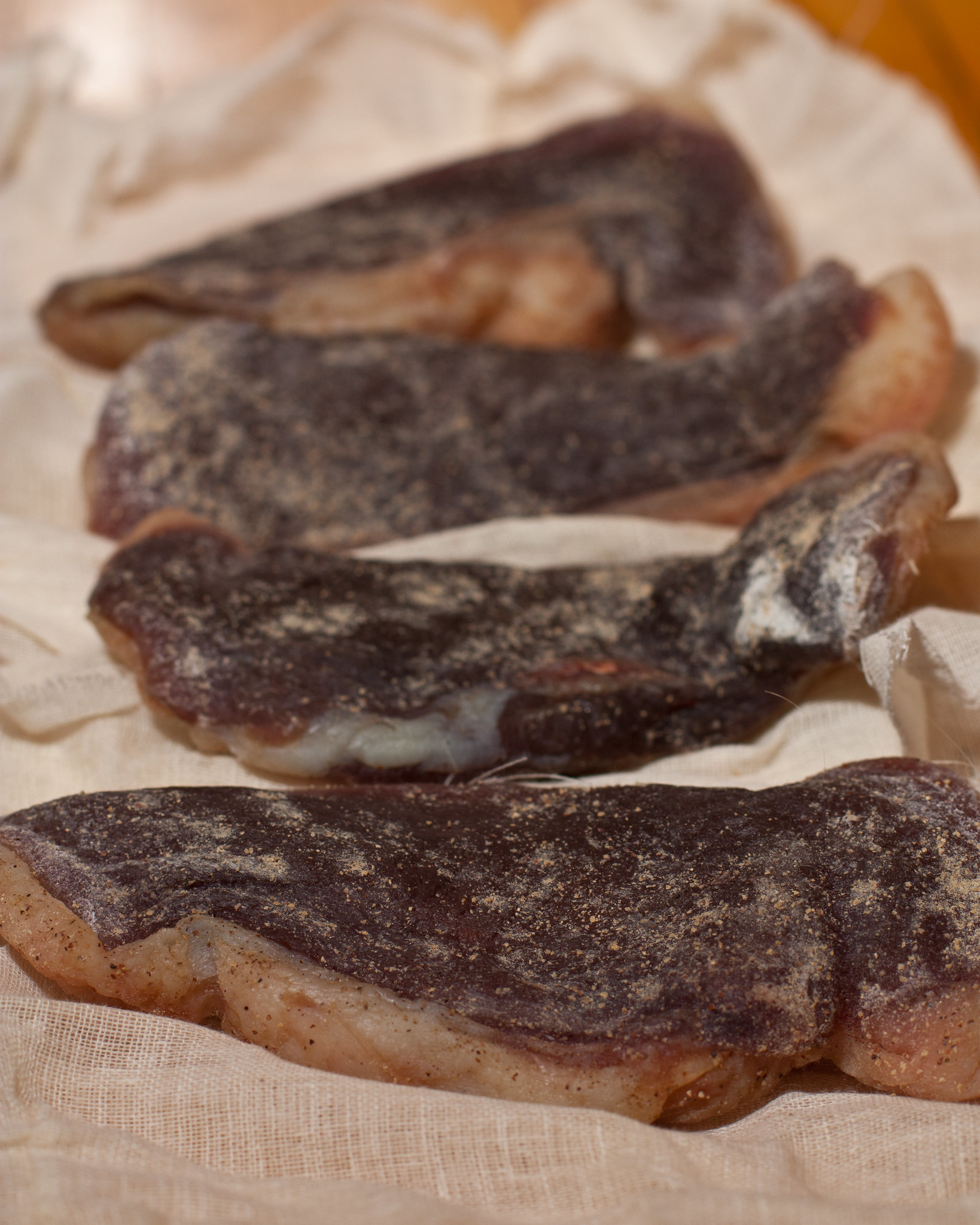 Magret de canard séché - Photo de  - 101Pairing.com