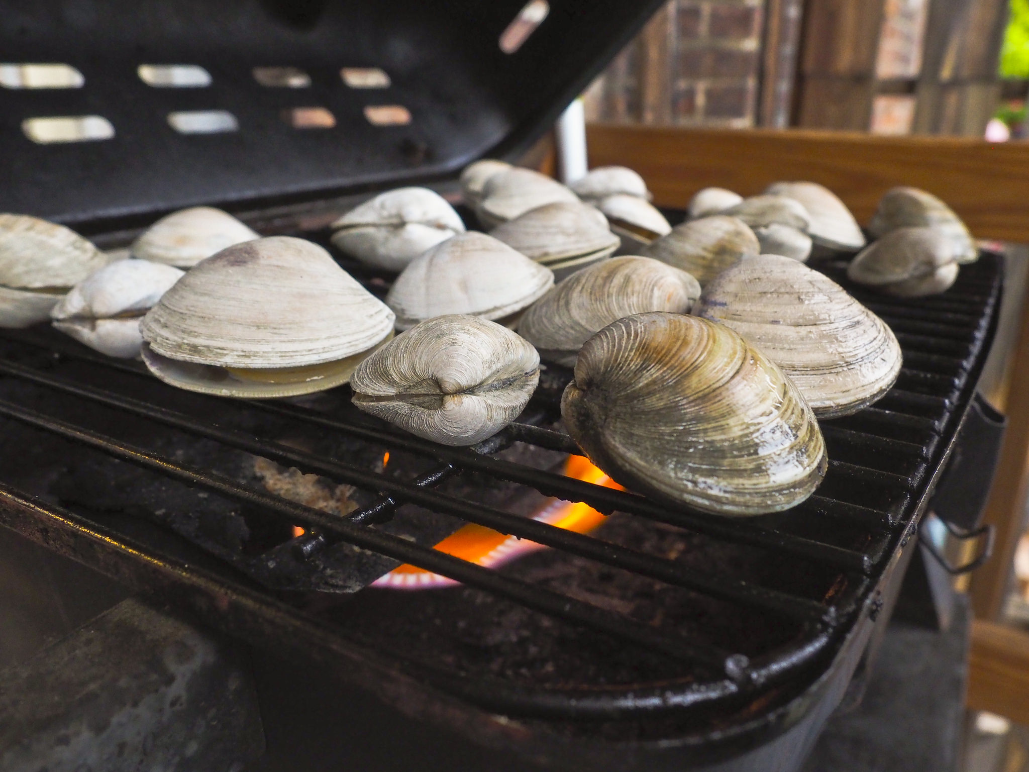 Palourdes grillées - Photo de Emily Jahn - 101Pairing.com