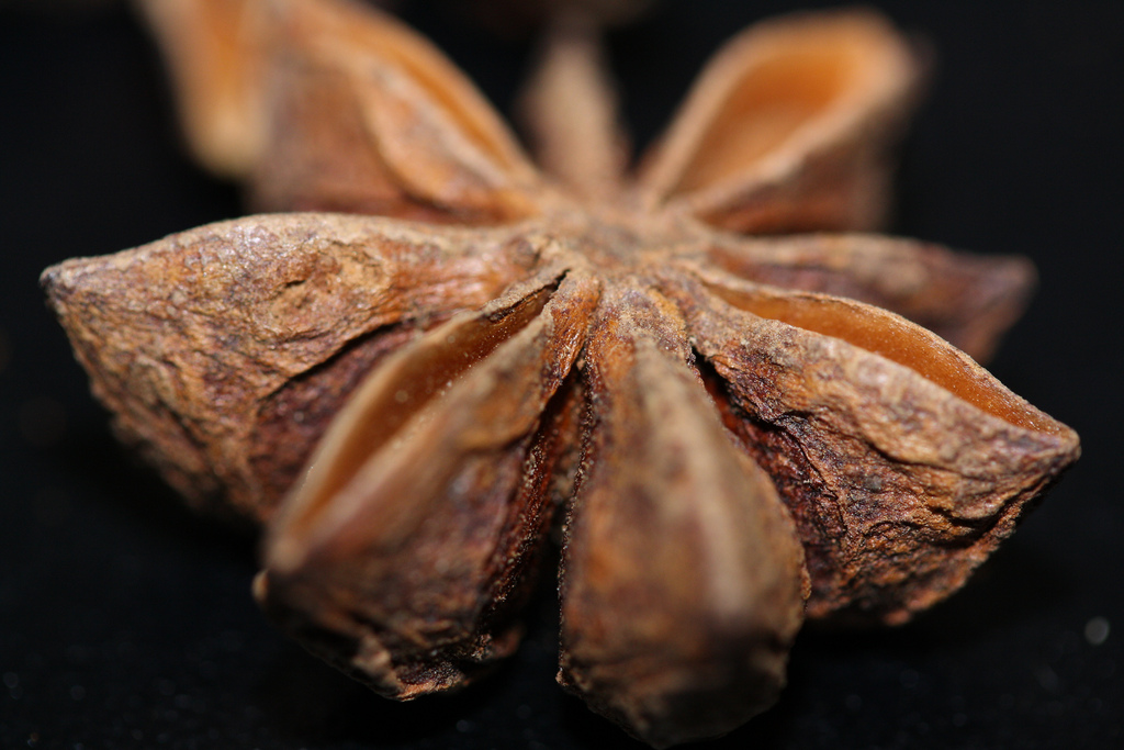 Anise-flavored liqueur - Spirits and liqueurs - Photo de Danielle Scott - 101Pairing.com