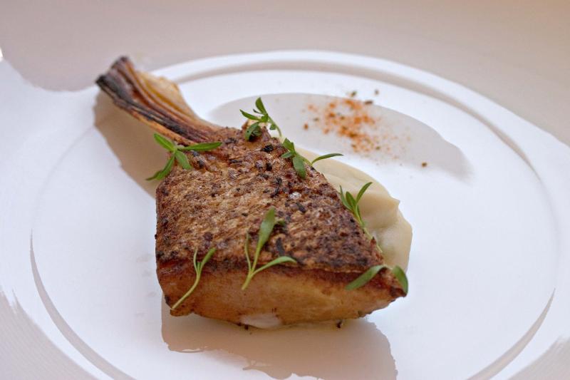 Bar grillé au fenouil avec un filet d’huile et de citron - Photo de  - 101Pairing.com