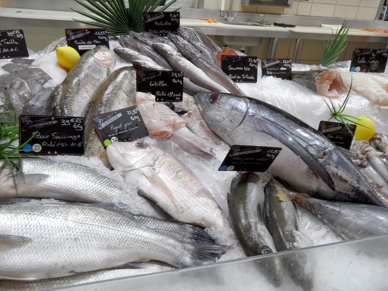 Mille-feuille de bar et de saumon fumés - Photo de onnola - 101Pairing.com