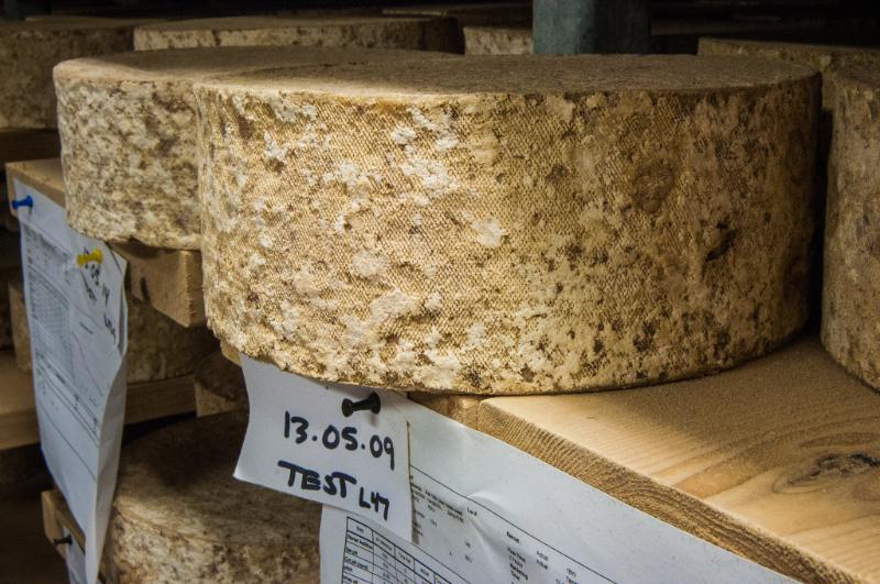 Bayley hazen blue - Photo de U.S. Department of Agriculture - 101Pairing.com