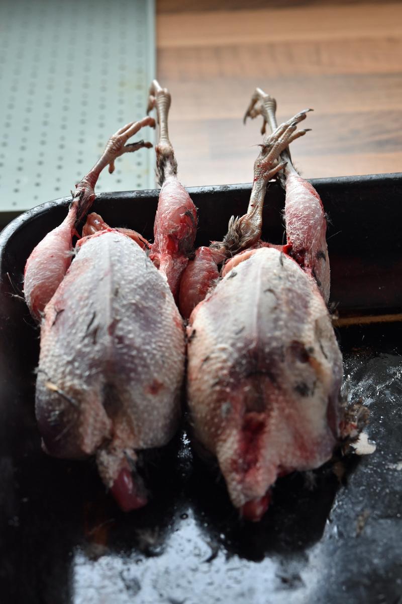 Bécasse flambée à l’Armagnac - Photo de Conall - 101Pairing.com