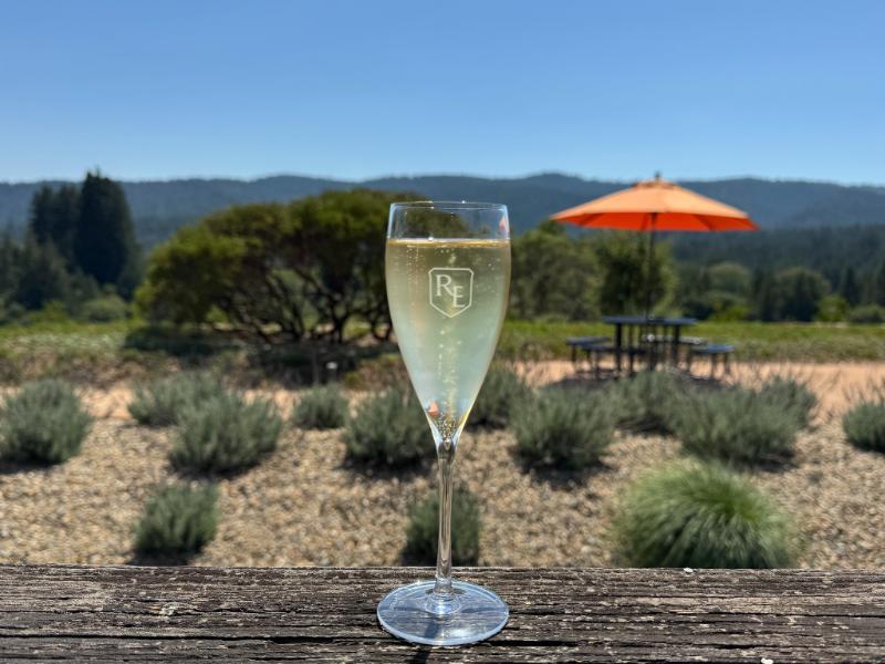 Crémant de la Loire Chenin Extra-brut - Vins effervescents blancs - Photo de Sarah Stierch - 101Pairing.com