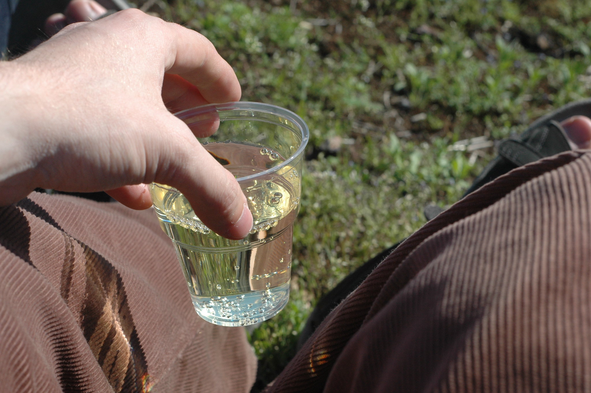 Montlouis sur Loire Mousseux Demi-sec - Vins effervescents blancs - Photo de delta_avi_delta - 101Pairing.com