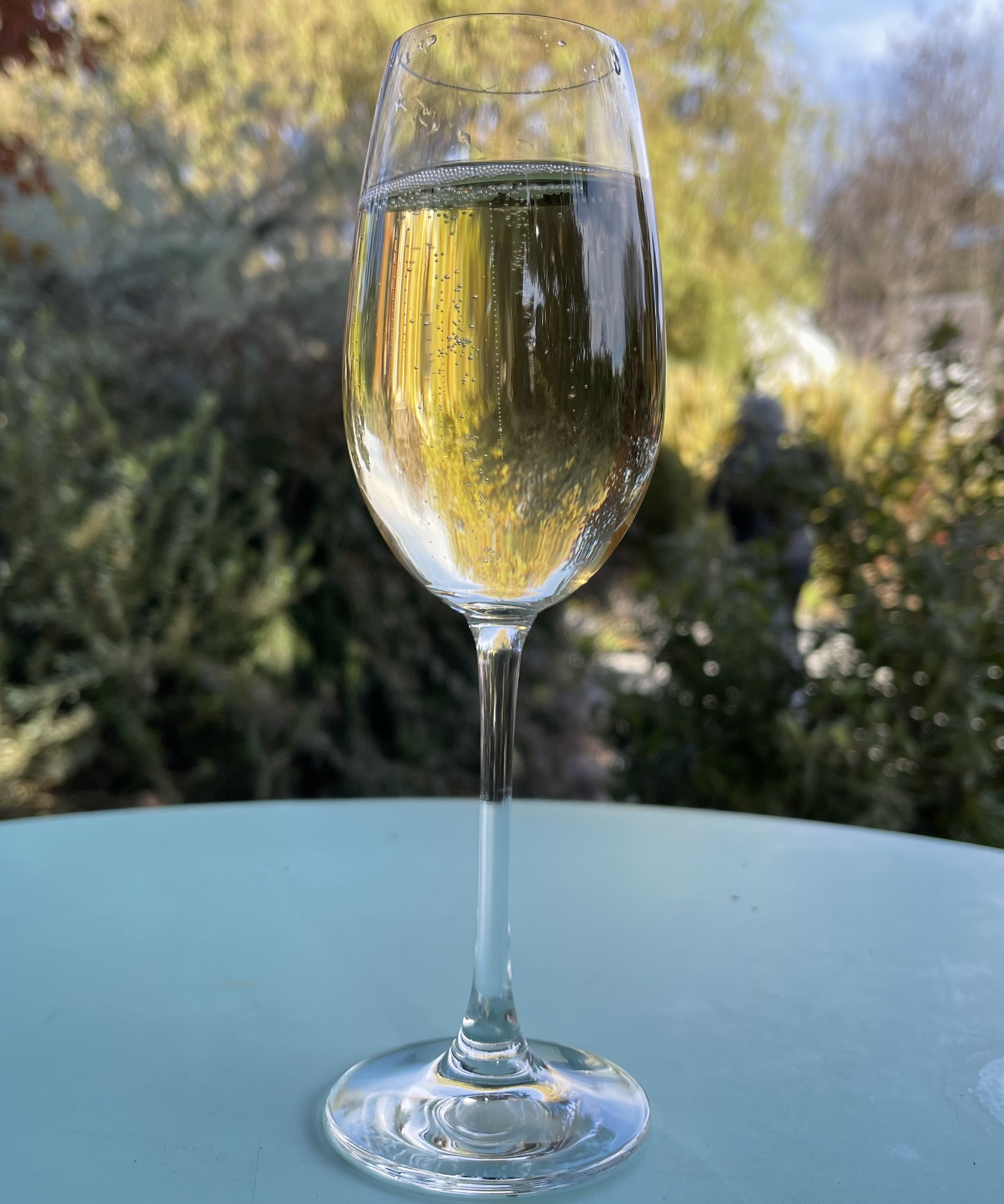 Saumur Mousseux Blanc - Vins effervescents blancs - Photo de Sarah Stierch - 101Pairing.com