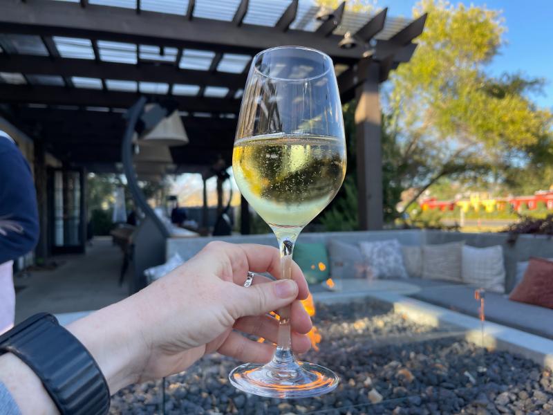 Champagne Grand cru Avize Blanc de blancs Brut Non dosé - Vins effervescents blancs - Photo de Sarah Stierch - 101Pairing.com