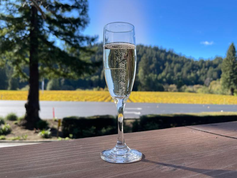 Champagne Grand cru Ambonnay Blanc de noirs Brut - Vins effervescents blancs - Photo de Sarah Stierch - 101Pairing.com