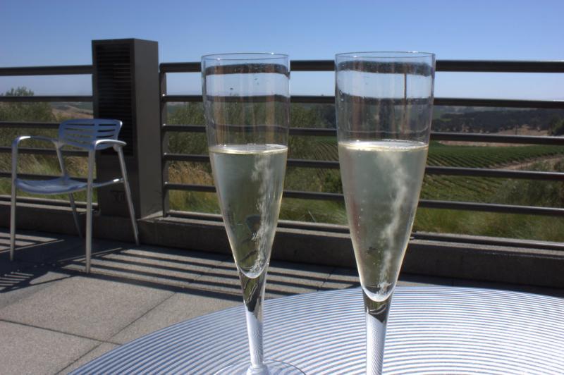 Champagne Grand cru Ambonnay Blanc de noirs Brut Millésimé - Vins effervescents blancs - Photo de Krista - 101Pairing.com