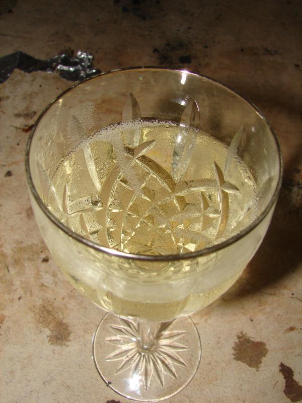 Champagne Blanc de blancs Doux Millésimé - Vins effervescents blancs - Photo de Quinn Dombrowski - 101Pairing.com