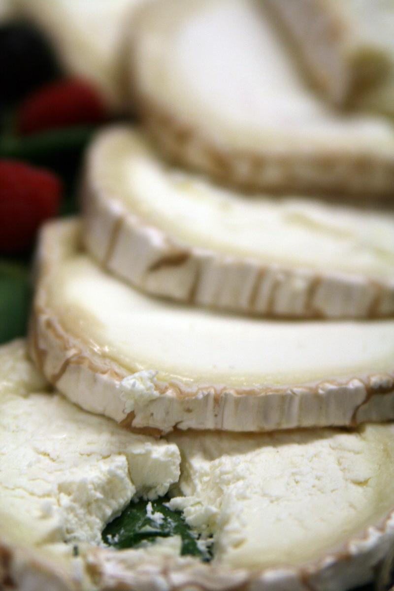 Casse-museau - Photo de Quinn Dombrowski - 101Pairing.com