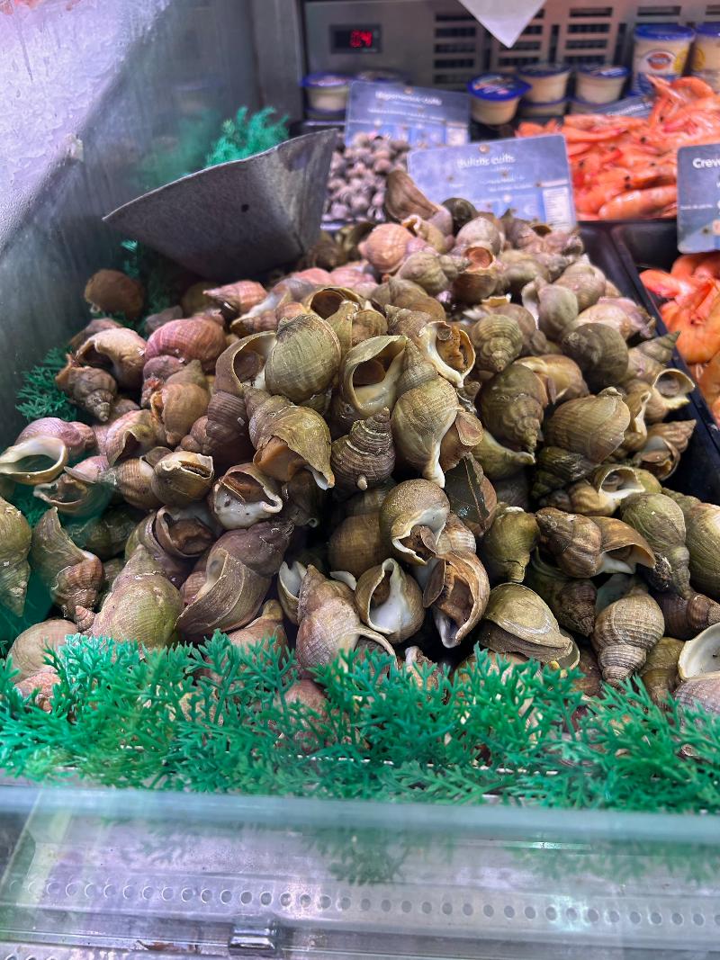 Bulots - Photo de Steve and Kathy - 101Pairing.com