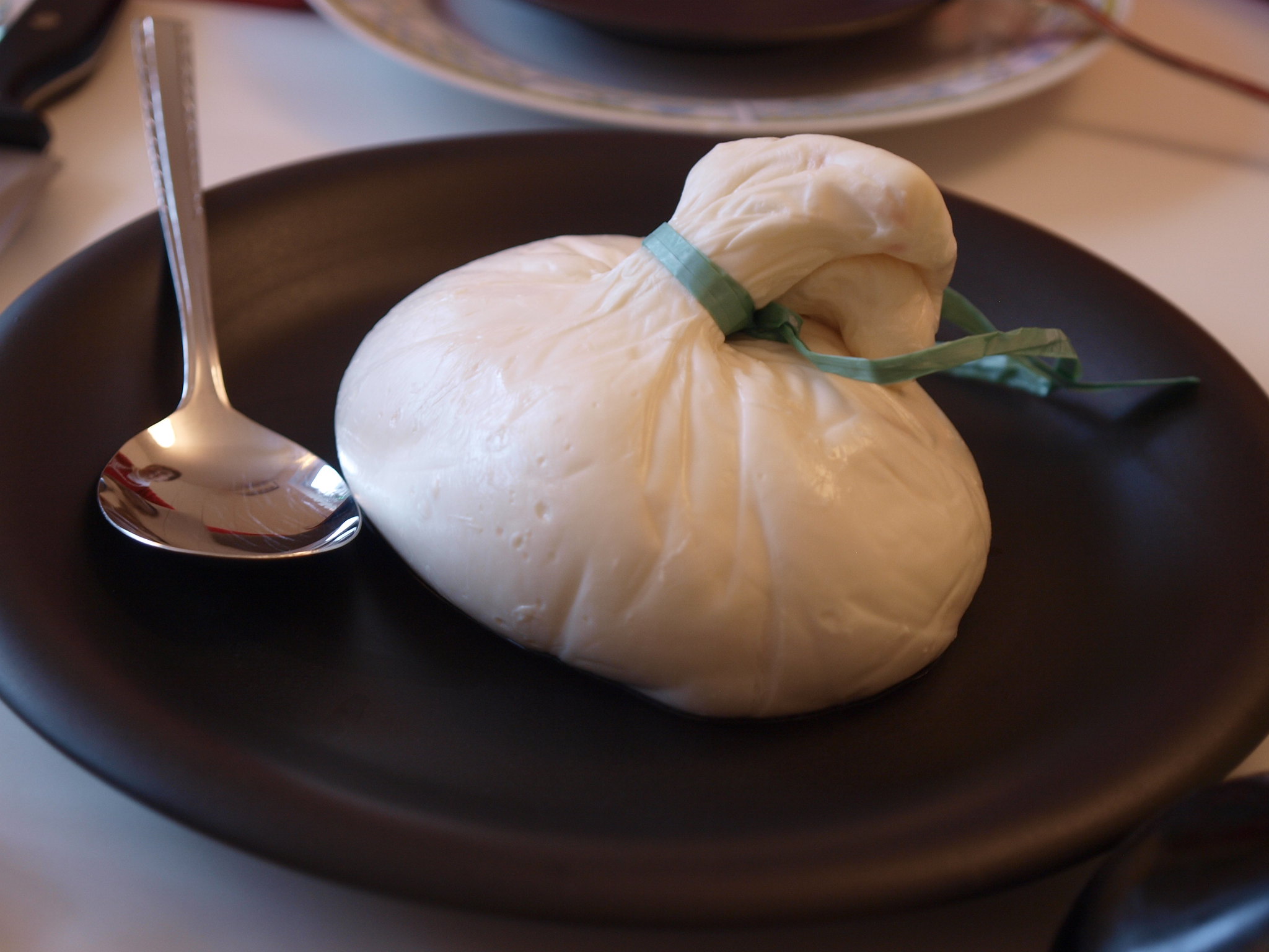 Burrata - Photo de tomislav medak - 101Pairing.com