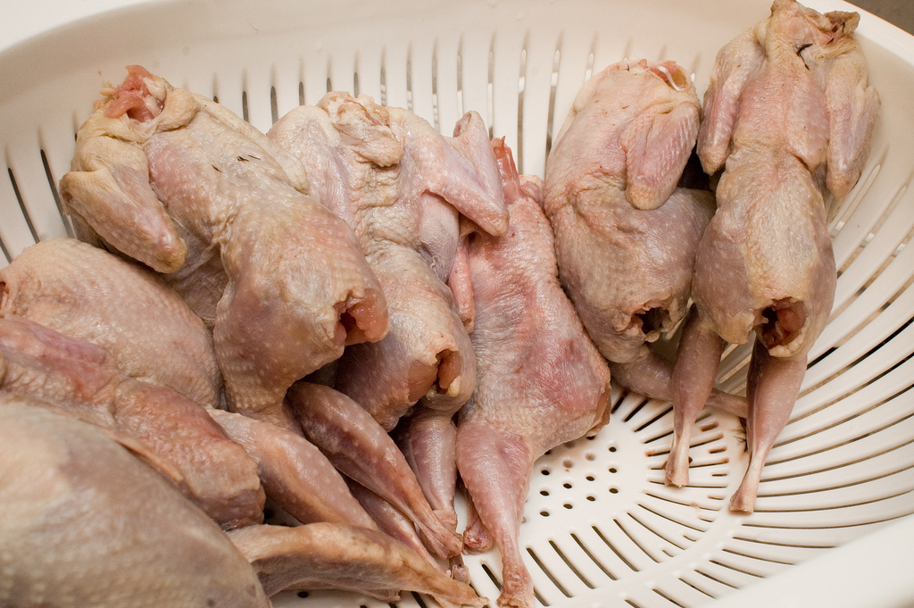 Caille rôtie aux raisins secs - Photo de Alpha - 101Pairing.com