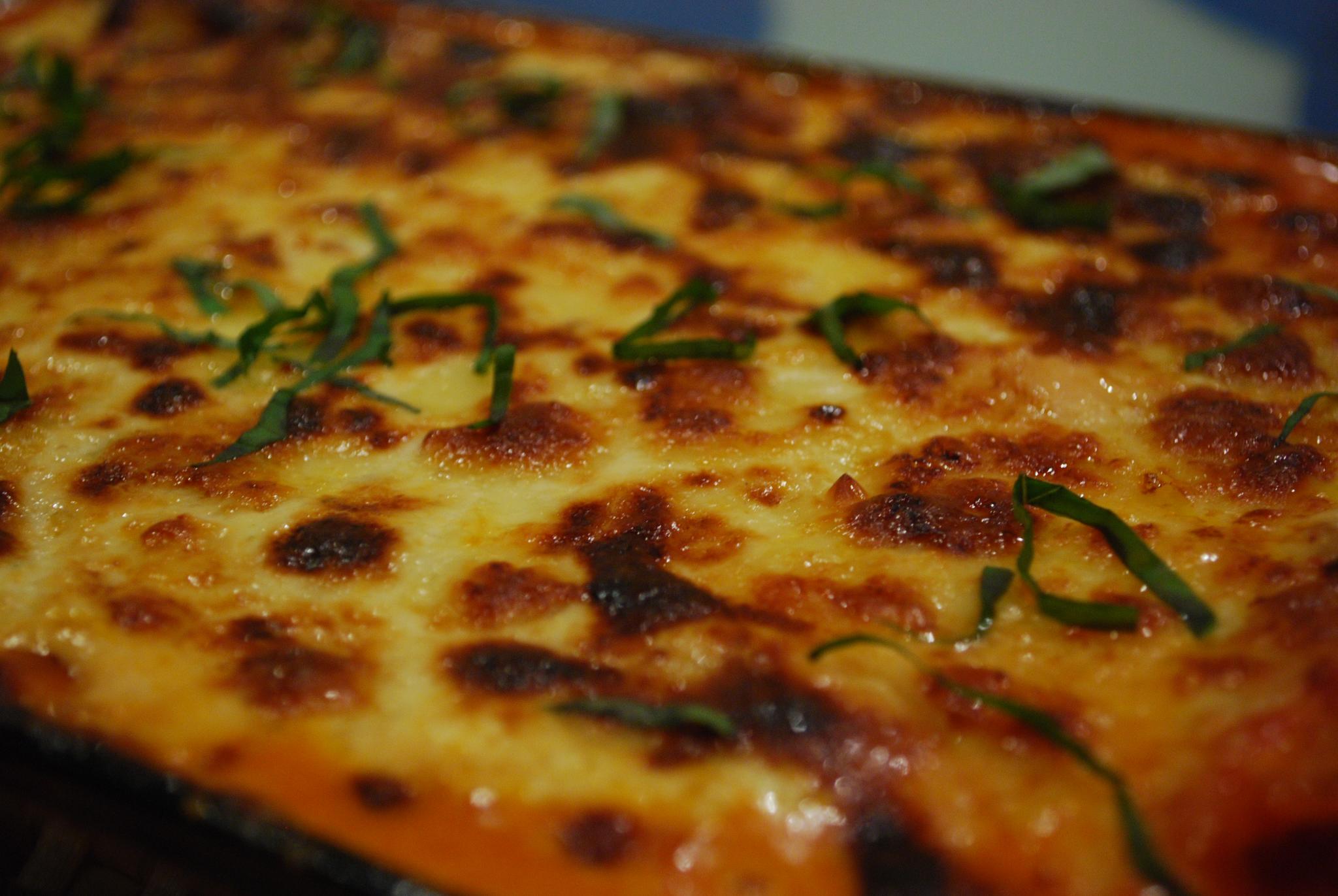 Cannelloni aux épinards et à la ricotta - Photo de Alpha - 101Pairing.com