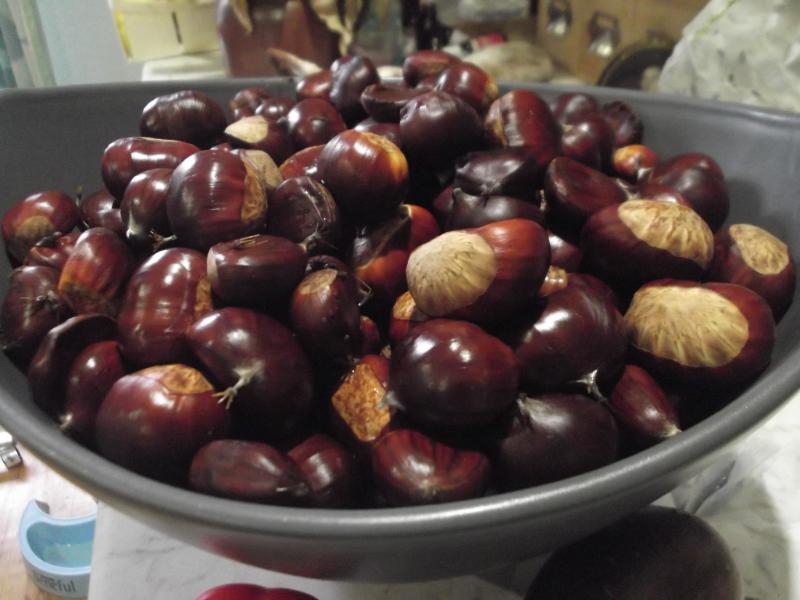 Marrons grillés - Photo de Shagshag - 101Pairing.com