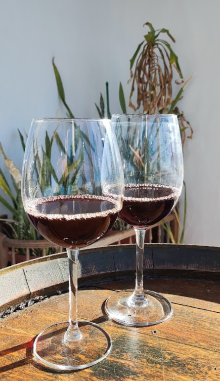 Chénas - Vins tranquilles rouges - Photo de Sylvain Torchet - 101Pairing.com