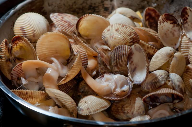 Coques au citron - Photo de VIUDeepBay - 101Pairing.com