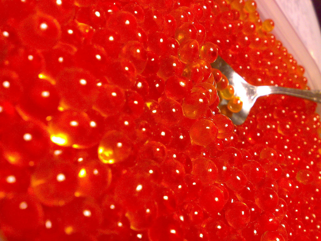 Oeufs de saumon - Photo de ajari - 101Pairing.com