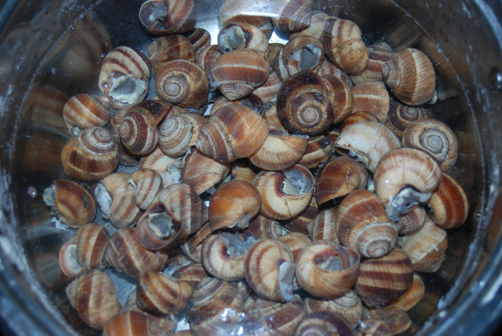 Gratin d&rsquo;escargots - Photo de George M. Groutas - 101Pairing.com