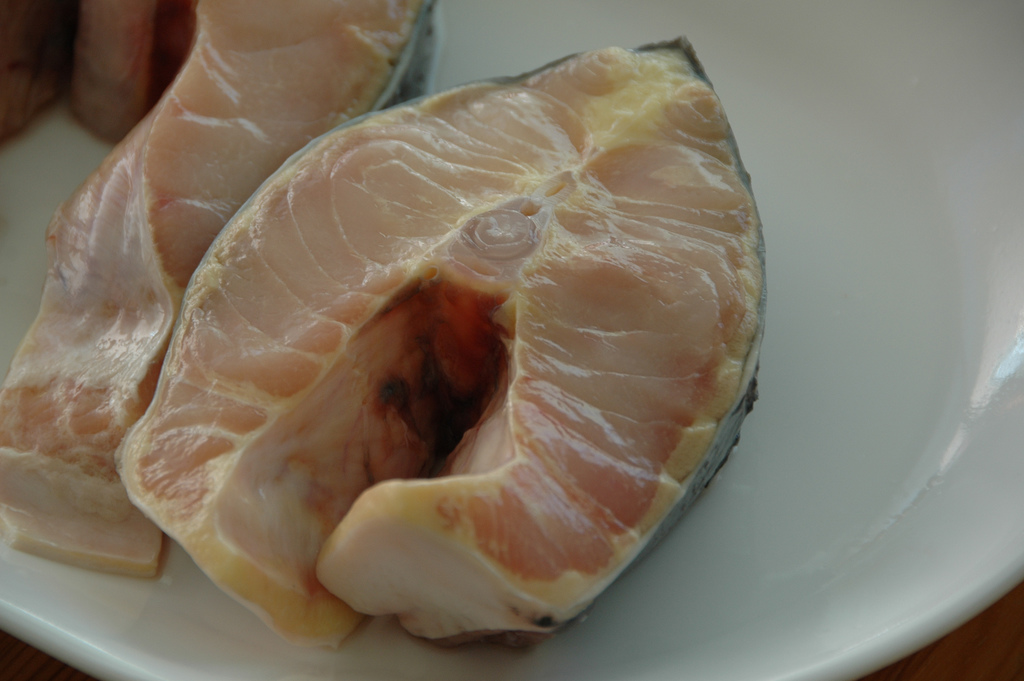 Esturgeon sauce bordelaise - Photo de Ernesto Andrade - 101Pairing.com