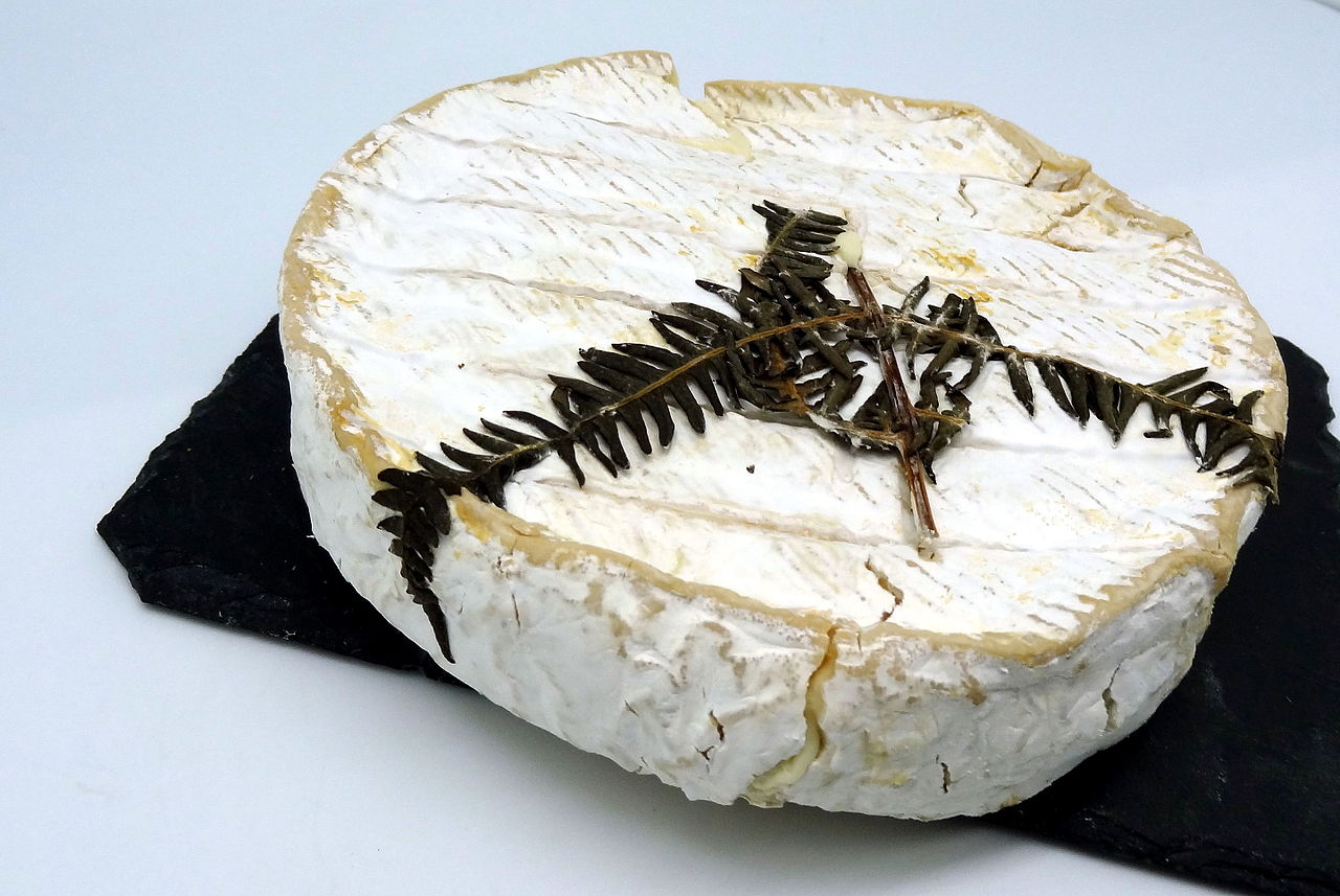 Fougerus - Photo de X-Javier - 101Pairing.com