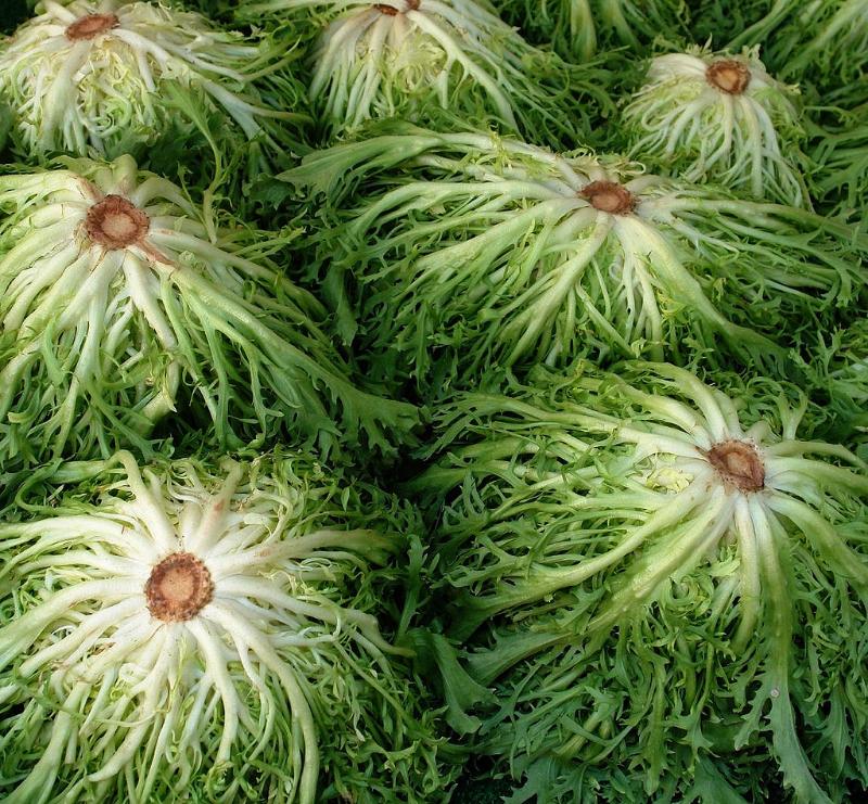 Salade frisée - Photo de Claude Fabry - 101Pairing.com