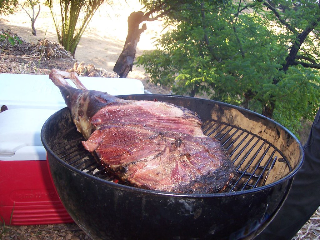 Gigue de chevreuil sauce grand veneur - Photo de Neeta Lind - 101Pairing.com