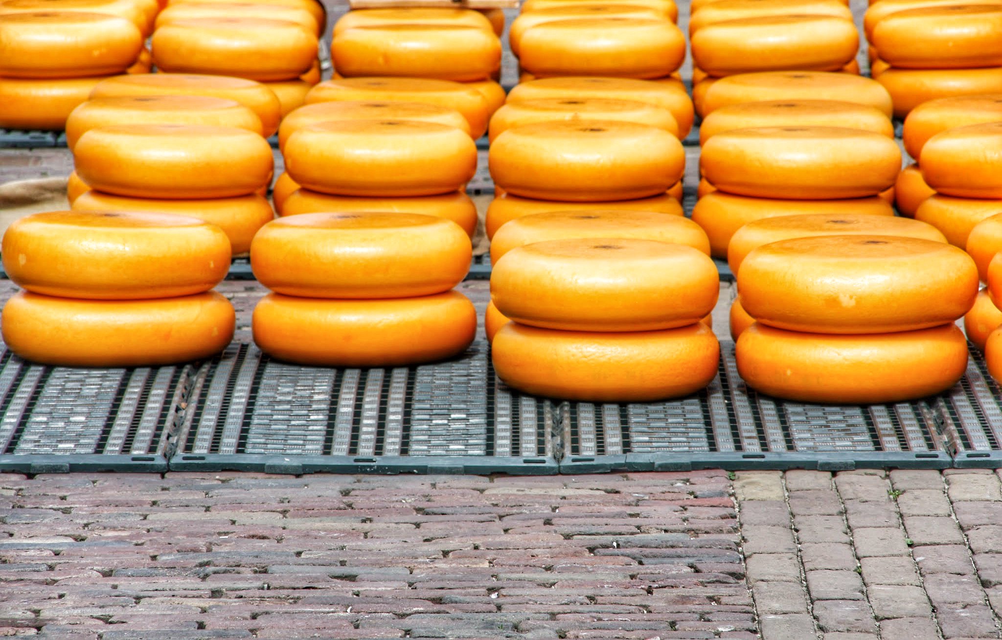 Stolwijker kaas - Photo de Martin Fisch - 101Pairing.com