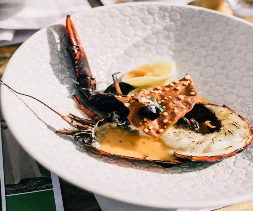 Homard grillé sauce Nantua