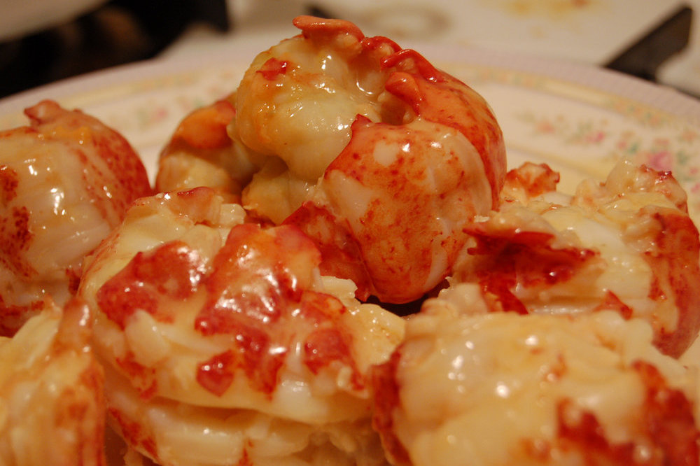 Homard poché