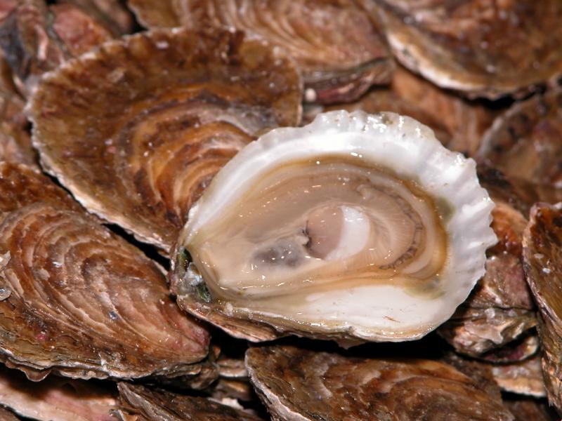 Gravettes d&rsquo;Arcachon à la bordelaise - Photo de Jean Weber - 101Pairing.com