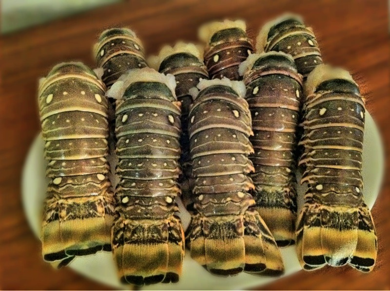 Langouste en civet - Photo de Ines Hegedus-Garcia - 101Pairing.com