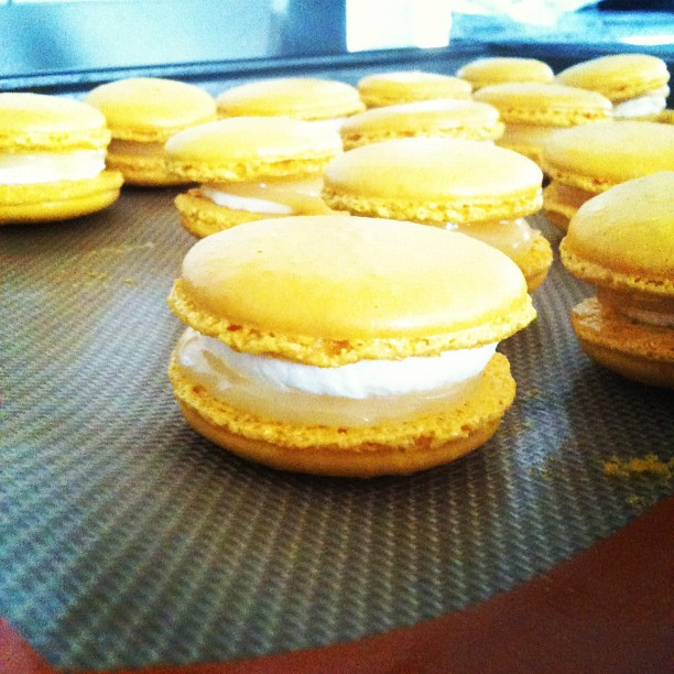 Macarons au citron et mascarpone - Photo de Melizza - 101Pairing.com