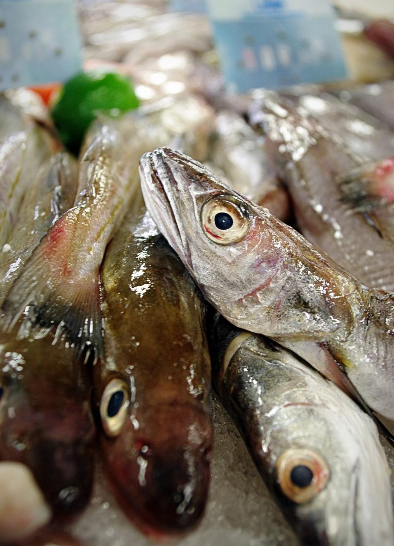 Merlan frit - Photo de Vincent Hamon - 101Pairing.com