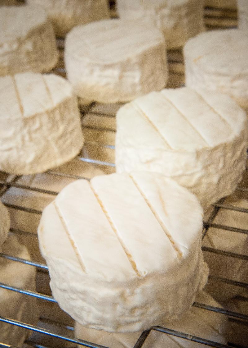 Moses Sleeper - Photo de U.S. Department of Agriculture - 101Pairing.com