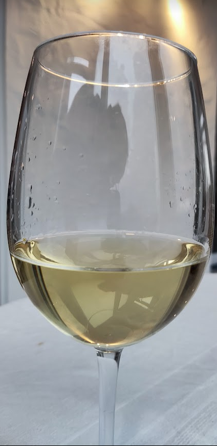 Muscadet Sèvre et Maine Sur lie - Vins tranquilles blancs - Photo de Sylvain Torchet - 101Pairing.com