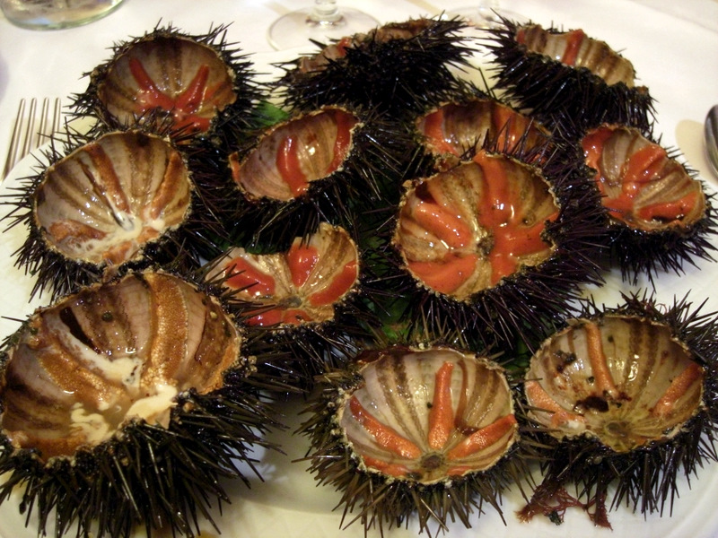 Oursin chaud - Photo de dpotera - 101Pairing.com