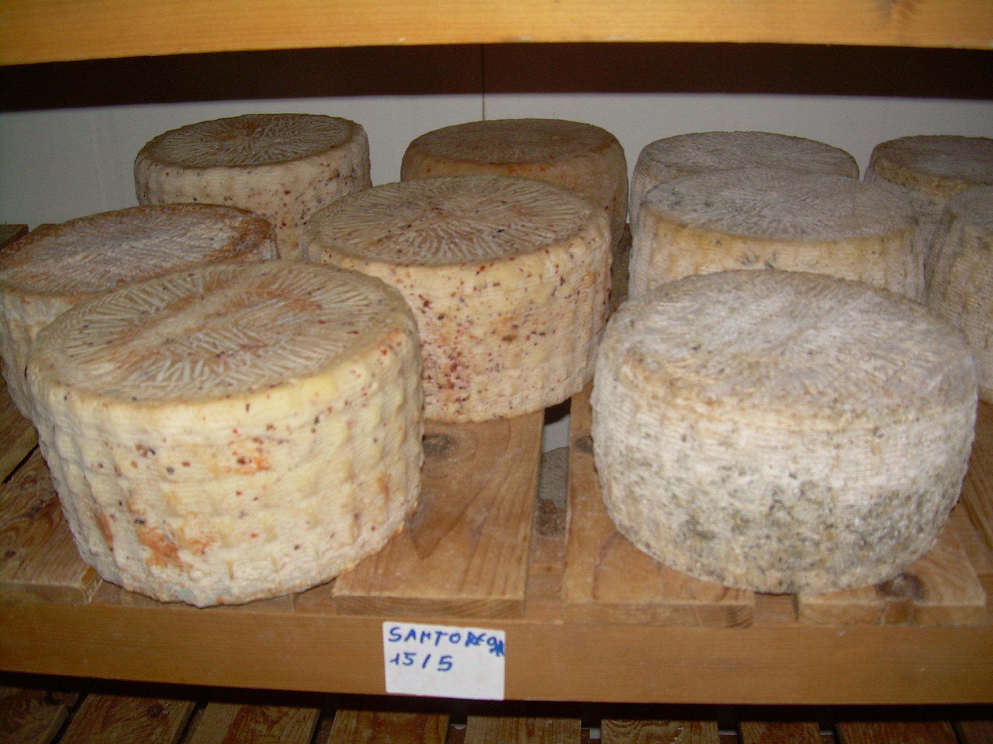 Tarte au pecorino et à la poire - Photo de shansby - 101Pairing.com