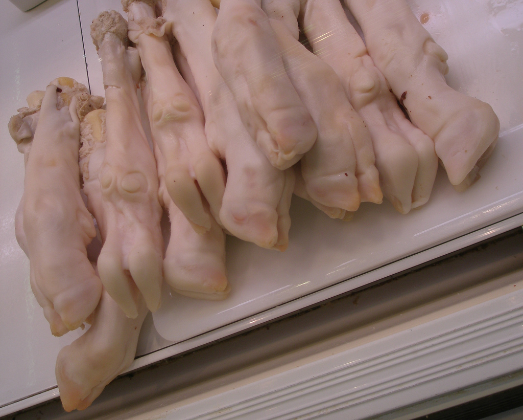 Pied de porc aux haricots blancs et à la truffe noire - Photo de zenilorac - 101Pairing.com