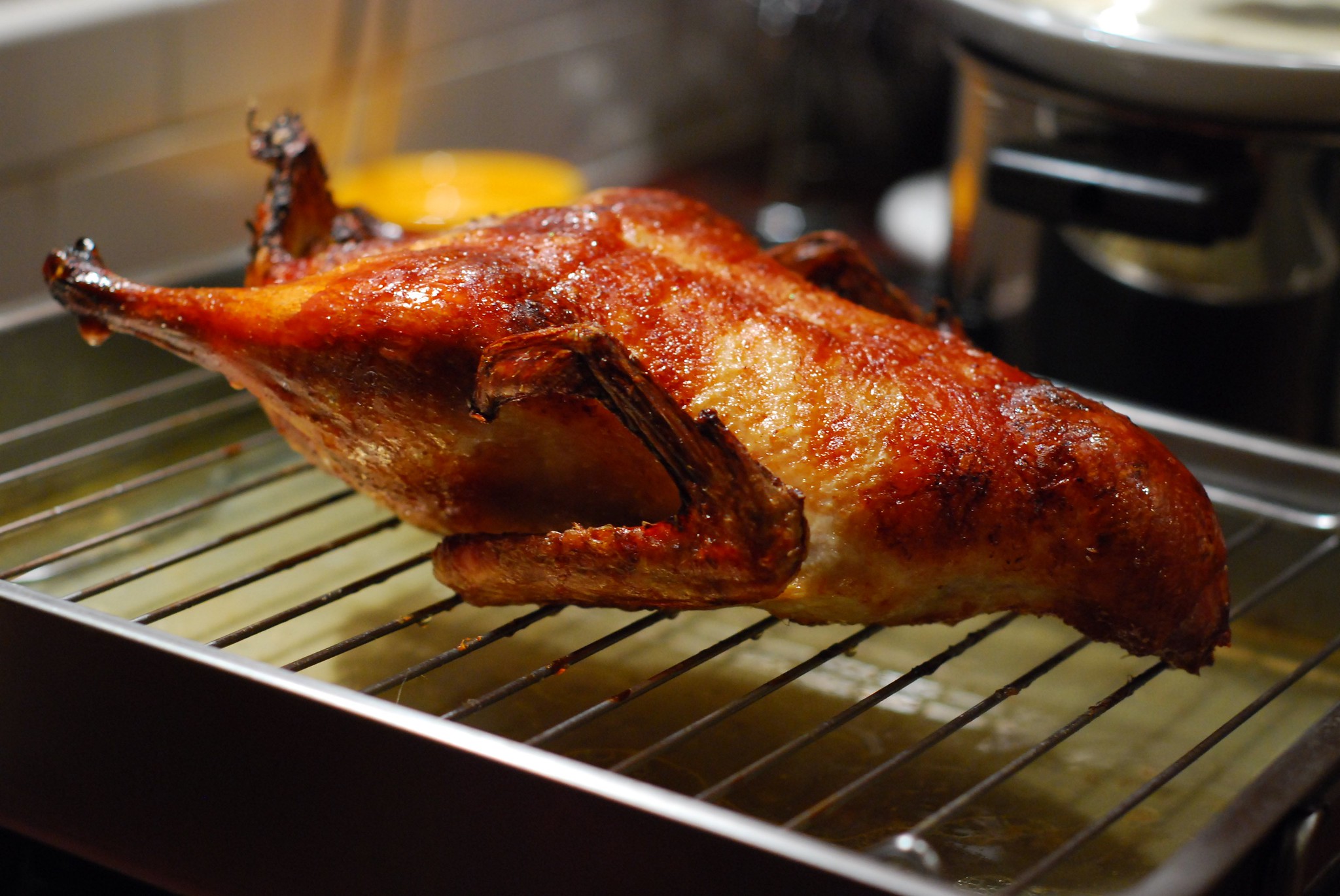 Pigeonneau rôti aux champignons des bois - Photo de Lucia Sanchez - 101Pairing.com