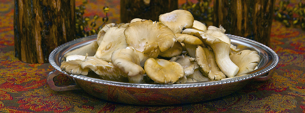 Pleurotes à la poêle - Photo de wplynn - 101Pairing.com