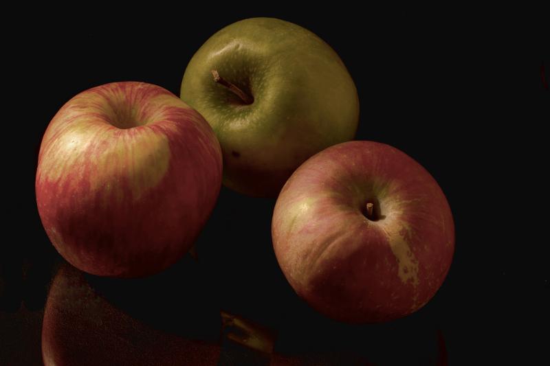 Cadet Mathieu - Photo de Mike Tidd - 101Pairing.com